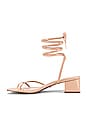 view 5 of 6 Moses Heel in Nude