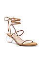 view 2 of 5 Cosette Heel in Tan