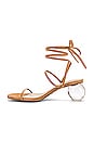 view 5 of 5 Cosette Heel in Tan