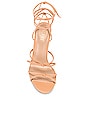 view 4 of 5 Calliope Heel in Nude