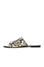 view 5 of 5 SANDALES SIENNA in Grey Python