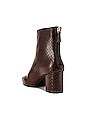 view 3 of 5 Halo Bootie in Brown Snake