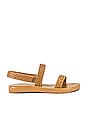 view 1 of 5 Hoxton Sandal in Cognac