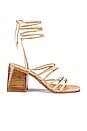 view 1 of 5 Cross Sandal in Nude Suede