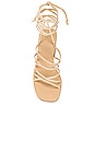 view 4 of 5 Cross Sandal in Nude Suede