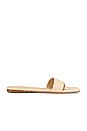 view 1 of 5 Pinto Sandal in Nude