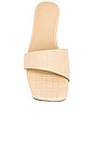 view 4 of 5 Pinto Sandal in Nude