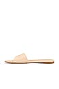 view 5 of 5 Pinto Sandal in Nude