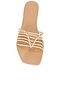 view 4 of 5 Obsidian Sandal in Nude