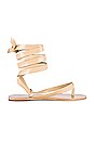 view 1 of 5 Veronica Sandal in Nude