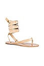 view 2 of 5 Veronica Sandal in Nude
