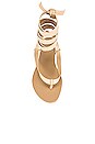 view 4 of 5 Veronica Sandal in Nude