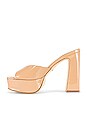 view 5 of 5 ESCARPINS NIMO in Tan