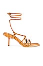 view 1 of 5 Lindy Heel in Dark Tan