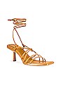 view 2 of 5 Lindy Heel in Dark Tan