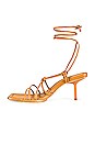 view 5 of 5 Lindy Heel in Dark Tan