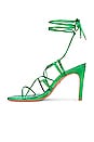 view 5 of 5 GRETCHEN 힐 in Green