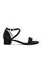view 1 of 5 Abbey Sandal in Black