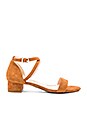 view 1 of 5 Abbey Sandal in Whiskey