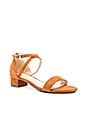 view 2 of 5 Abbey Sandal in Whiskey