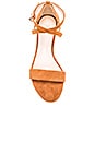 view 4 of 5 Abbey Sandal in Whiskey