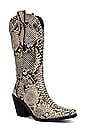 view 2 of 5 Amarillo Boot in Snakeskin