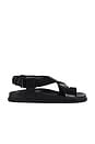 view 1 of 5 Charli Sandal in Black