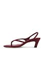 view 5 of 5 Prue Sandal in Burgundy
