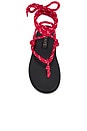 view 4 of 5 Lillie Sandal in Red & Black