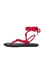 view 5 of 5 Lillie Sandal in Red & Black