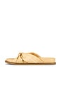view 5 of 5 Brissa Slide in Raffia
