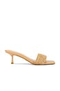 view 1 of 5 Isabelline Sandal in Raffia
