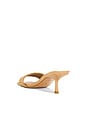 view 3 of 5 Isabelline Sandal in Raffia