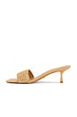 view 5 of 5 Isabelline Sandal in Raffia