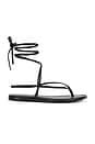 view 1 of 5 Aditi Sandal in Black