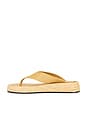 view 5 of 5 Chris Sandal in Raffia