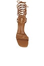 view 4 of 5 Lysiane Sandal in Tan