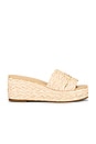 view 1 of 5 Anais Sandal in Natural Raffia