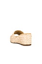 view 3 of 5 Anais Sandal in Natural Raffia