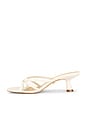 view 5 of 5 Lola Sandal in Bone