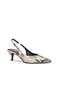 view 2 of 5 CALISTA 펌프 in Snake Print