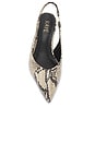 view 4 of 5 CALISTA 펌프 in Snake Print