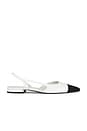 view 1 of 5 ZAPATO PLANO DORIT in White