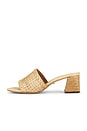 view 5 of 5 Selene Sandal in Raffia