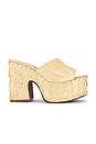 view 1 of 5 Maeve Platform Sandal in Raffia