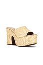 view 2 of 5 Maeve Platform Sandal in Raffia