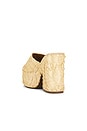 view 3 of 5 Maeve Platform Sandal in Raffia