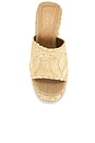 view 4 of 5 Maeve Platform Sandal in Raffia