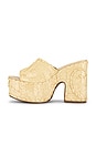 view 5 of 5 Maeve Platform Sandal in Raffia