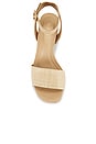 view 4 of 5 Julia Sandal in Raffia
